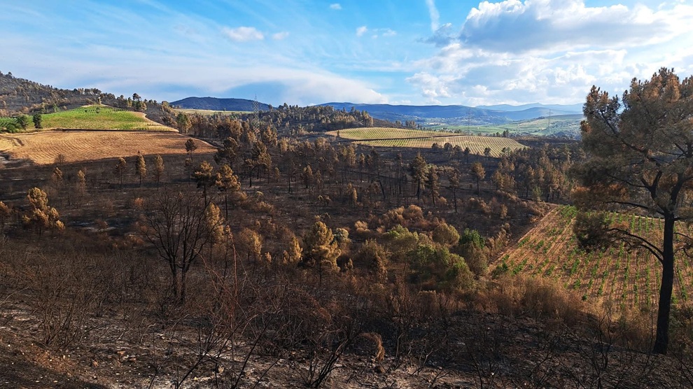 Comunicando participa na mesa redonda «Informar desde o lume. Xornalismo e incendios forestais»