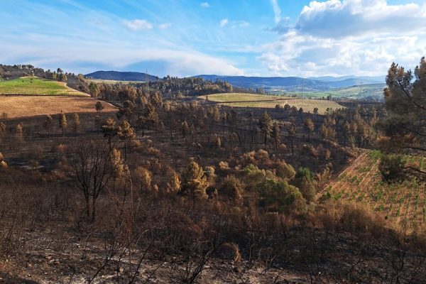 Comunicando participa en la mesa redonda "Informar desde las llamas. Periodismo e incendios forestales"